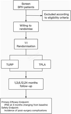 The Design and Rationale of a Multicentre Randomised Controlled Trial Comparing Transperineal Percutaneous Laser Ablation With Transurethral Resection of the Prostate for Treating Benign Prostatic Hyperplasia